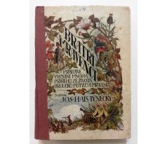J. H. Týnecký. Bratři mravenci. Pravdivé vypsání mnoha příběhů ze života broučků, motýlů a mravenců / O. ŠTÁFL