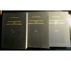 Kiss-Szentágothai. Anatomischer atlas des Menschlichen körpers / I - IIII KOMPLET