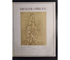 WELLNER, K. Kreslení v přírodě / Revue Náš směr / 1910