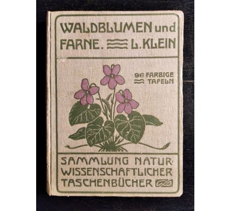 KLEIN, L. Unsere Waldblumen und Farngewächse