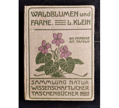 KLEIN, L. Unsere Waldblumen und Farngewächse