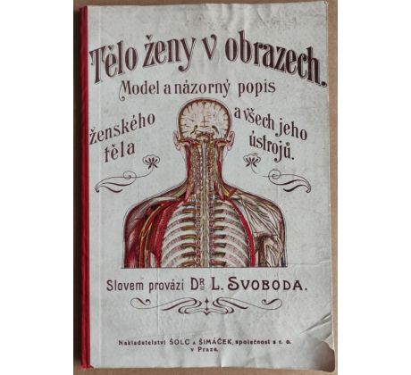 Dr. Luděk Svoboda. Tělo žena v obrazech