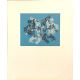 4. Zdeněk Kučera / serigrafie
