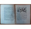 MAZÁLEK, V. Mourek tatínkem. Historie kočičí rodiny / F. DOUBRAVA