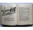 A. C. Nor. Bürkental / Mašek Václav / PODPIS