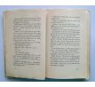 P. Sutter. Satan i Illfurtu. Případ ďábelské posedlosti dvou hochů v nedávné době / 1931