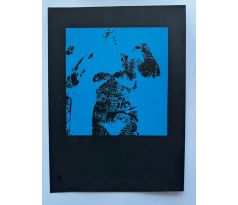 3. Eduard Ovčáček. Serigrafie