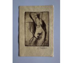 Josef Tockstein / suchá jehla