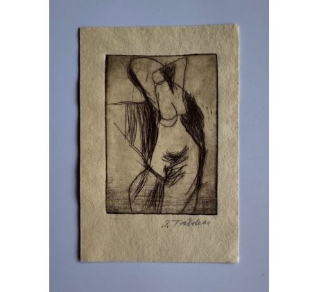 Josef Tockstein / suchá jehla
