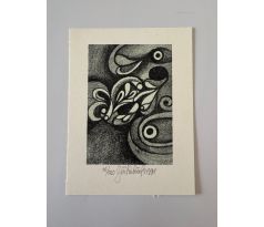 28. Jiří Kubíček / litografie