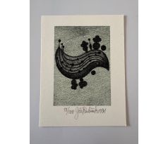 29. Jiří Kubíček / litografie