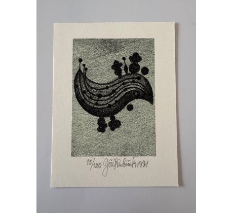 29. Jiří Kubíček / litografie