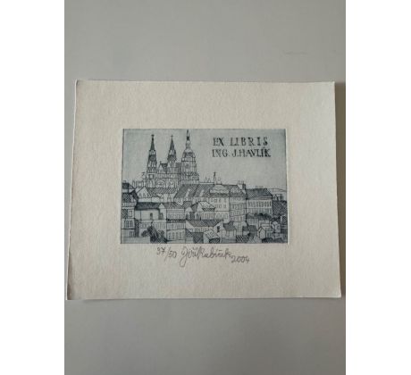 46. Jiří Kubíček / lept