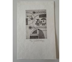 48. Jiří Kubíček / lept