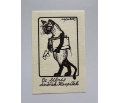 Jiří Winter Neprakta / serigrafie