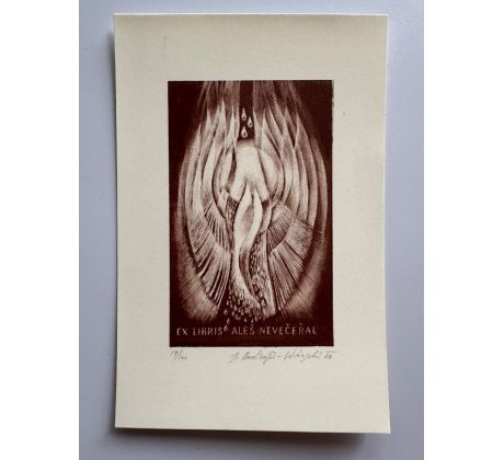 2. Jana Ondrušová-Wünschová / litografie