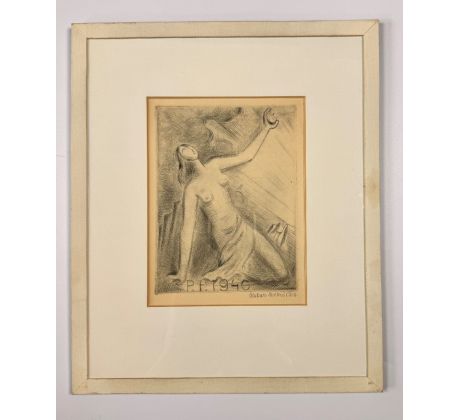 Otakar Mrkvička / suchá jehla