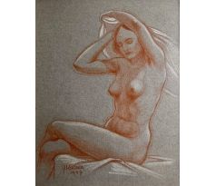 Jaroslav Kučera / Akt