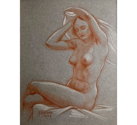 Jaroslav Kučera / Akt