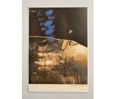 Jolana Havelková / fotografie