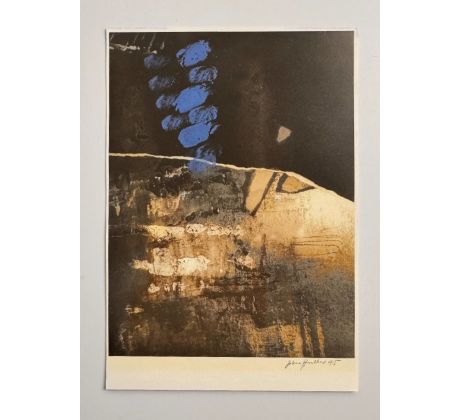 Jolana Havelková / fotografie