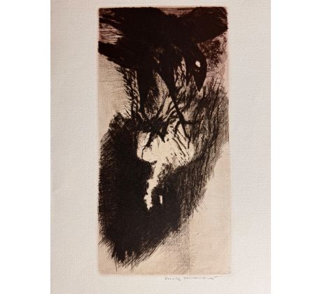 2. Emilie Tomanová / lept