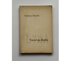 Vladimír Vokolek. Národ na dlažbě