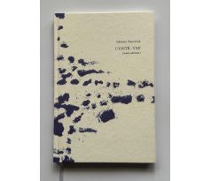 Adriena Šimotová. Uvnitř vně (malá sdělení)