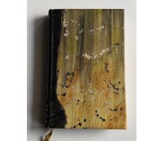 Vilém Mrštík. Santa Lucia / vazba