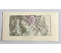 Pavel Hlavatý / Barevný lept