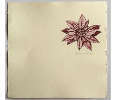 Julie Svobodová / barevný lept