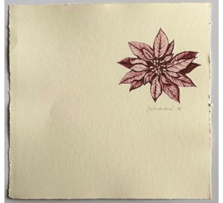 Julie Svobodová / barevný lept