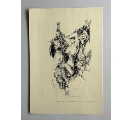 Věroslav Bergr / kombinovaná technika