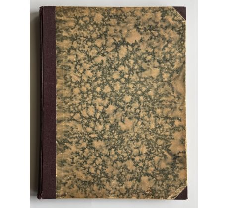 František Václav Krejčí. Rudé květy / 1902 1903