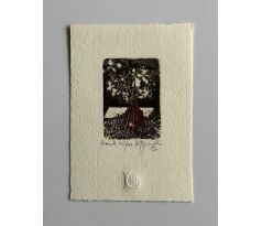 Karol Ondreička / barevný lept 1