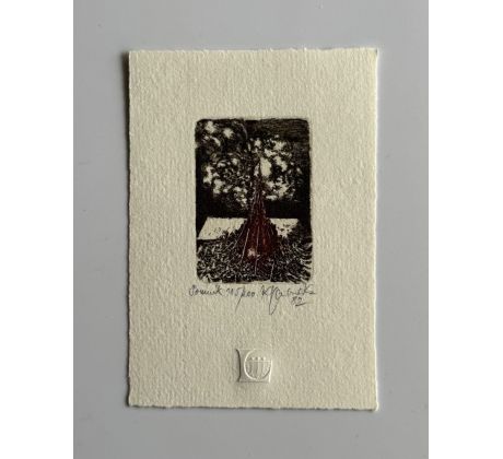 Karol Ondreička / barevný lept 1