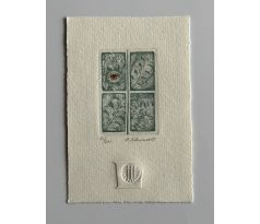 Anna Khunová / barevný lept