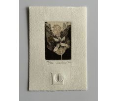 Eva Hašková / barevný lept 1