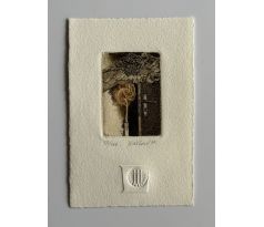 Eva Hašková / barevný lept 2