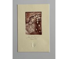 Vladimír Suchánek / litografie