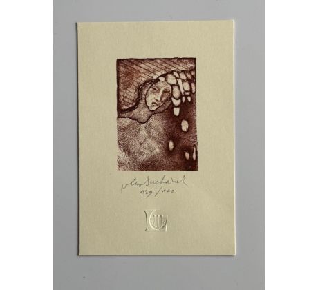 Vladimír Suchánek / litografie