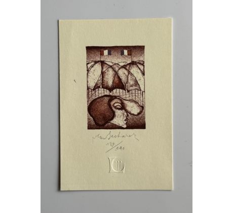 Vladimír Suchánek / litografie 1