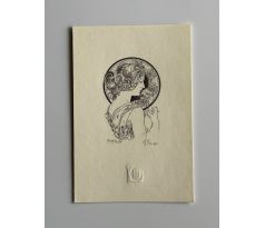 Bedřich Housa / ocelorytina