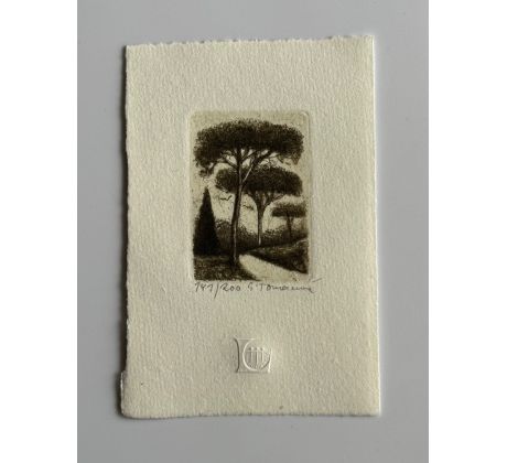 Emilie Tomanová / lept