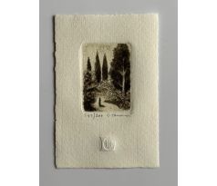 Emilie Tomanová / lept 1