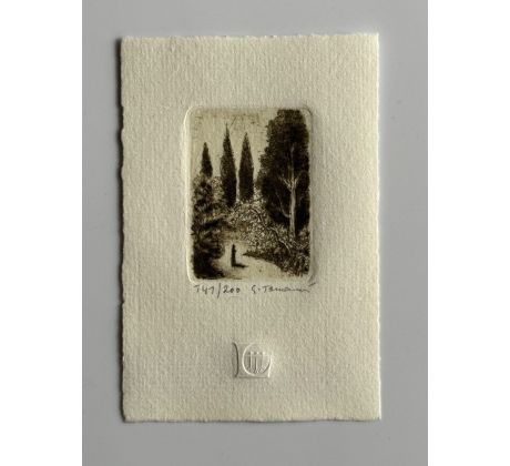 Emilie Tomanová / lept 1