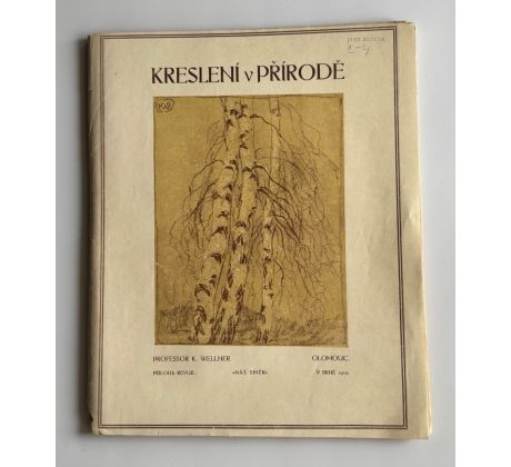 Prof. Karel Wellner. Kreslení v přírodě