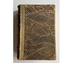 Richard Muther. Dějiny malířství / 1904