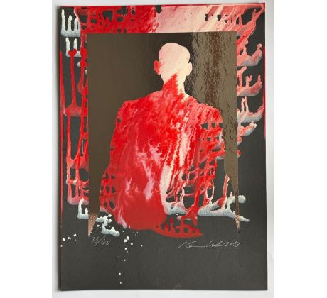 Ivan Komárek / kombinovaná techika