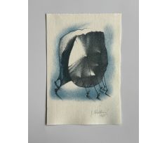 Jitka Walterová / barevná litografie